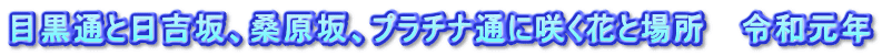 目黒通と日吉坂、桑原坂、プラチナ通に咲く花と場所 令和元年